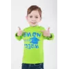 Детский джемпер для мальчика с надписью интерлок-начес