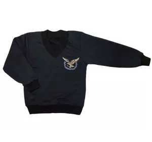 Пуловер Орёл с эмблемой-вышивкой для мальчика двунить