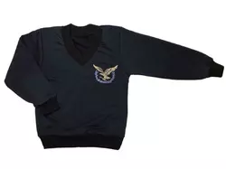 Пуловер Орёл с эмблемой-вышивкой для мальчика двунить